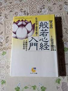 マンガ　般若心経入門　仏の智慧と慈悲の教え　