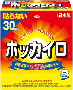 ホッカイロ 貼らない レギュラー 30個入