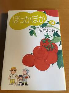 ぽっかぽか(文庫版)(14) / 深見じゅん　D04161