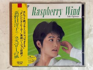 CD 帯付 荻野目洋子 4th ラズベリーの風 VDR-1179 旧規格 3200円盤 税表記なし