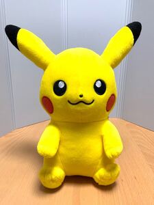 ピカチュウ ポケットモンスター ポケモン