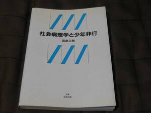 社会病理学と少年非行　高原正興 法政出版 中古 書込無