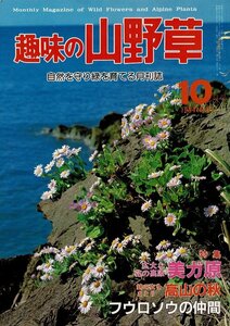 趣味の山野草　1984年10月号（No.51）～1985年2月号（No.55）5冊　月刊さつき研究社 RX13-424UT5