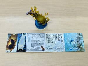 海洋堂 新江ノ島水族館への誘い2 ナヌカザメの誕生 七日鮫 ボトルキャップ フィギュア 荒俣宏監修 KAIYODO 立体生物図録2 ナヌカザメ