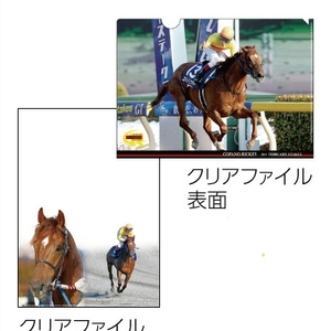 JRA 京都競馬場 コパノリッキー引退記念グッズ クリアファイル 新品未開封！