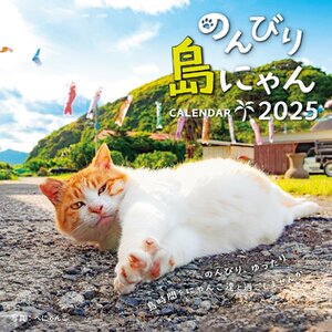 カレンダー2025 のんびり島にゃんCALENDAR（月めくり/壁掛け） (インプレスカレンダー2025)