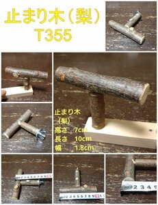 止まり木（梨枝：TOY-23-004）T355