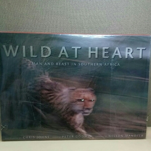 洋書　WILD AT HEART　MAN AND BEST SOUTHRN AFRICA