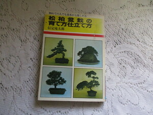 ☆松柏盆栽の育て方仕立て方　初めての人でも苗木から楽しめる　信定滝太郎☆