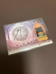 琴ノ若 傑太 BBM2024 大相撲カード 響 60枚限定 直筆サインカード SUMO CARDS 琴ノ若傑太 大関