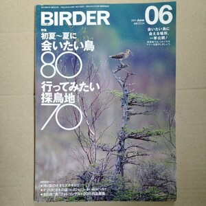 /9.29/ BIRDER (バーダー) 2011年 06月号 初夏~夏に会いたい鳥80 行ってみたい探鳥地70 230429J14A2