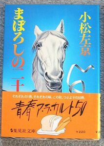 まぼろしの二十一世紀★小松左京（集英社文庫）