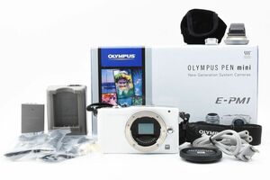 #z114★実用品★ オリンパス OLYMPUS PEN MINI E-PM1 ボディ