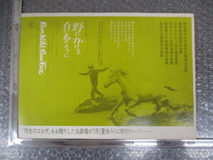 ≫301 映画チラシ「野にかける白い馬のように」A4サイズ 検：映画関連グッズ 当時物 昭和レトロ 希少 レア 入手困難
