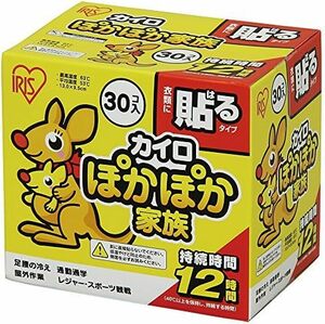 30枚入 使い捨てカイロ 貼る レギュラー 30枚 ぽかぽか家族 PKN-30HR