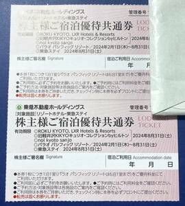 東急不動産ホールディングス 株主優待 株主様ご宿泊優待共通券 2枚 有効期限2024年8月31日