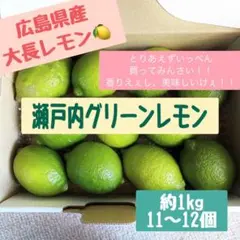 広島県産　大長レモン　グリーンレモン　瀬戸内レモン　約1キロ