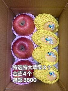 692.福島県産フレッシュ富士特選リンゴ特大玉3玉+タイ産フレッシュ　ナムドクマイマンゴー金芒4玉セット贈答用OR家庭用