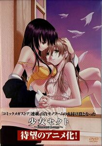 ☆ 少女セクト Innocent Lovers 1時限目 DVD 初回限定生産BOX Tシャツ・サントラCD付