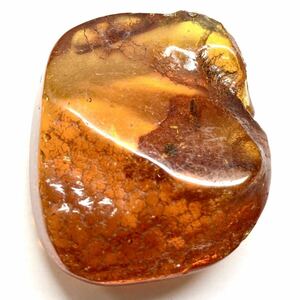 虫入り!!☆天然本琥珀 75.5ct☆O約41.4×38.0mm ルース 裸石 アンバー amber 宝石 ジュエリー 