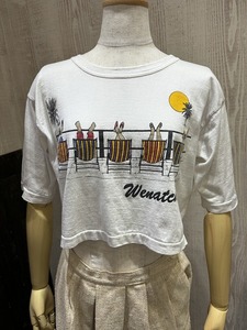 80s ビンテージ POLY TEES HAWAII スーべニア プリント クロップド丈 ショート丈 Tシャツ レトロ 希少 アメリカ古着 レディースビンテージ