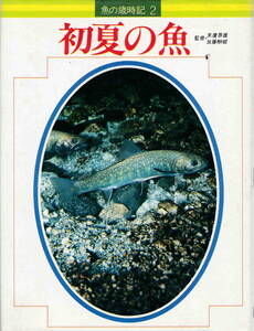 末廣恭雄・加藤楸邨監修★「魚の歳時記２　初夏の魚」学研刊