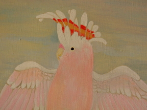 ◆高村愉以 作 「美しい僕」アクリル pink cockatoo クルマサカオウム 鸚鵡 真作◆