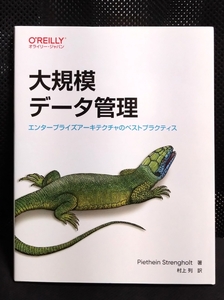 【ほぼ新品・即決・送料込】大規模データ管理／オライリー・ジャパン／著：Piethein Strengholt 訳：村上列