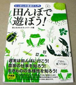 !即決!「田んぼで遊ぼう! にっぽんの里遊び入門」地球丸