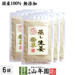 国産100% 無添加 蒸し生姜 粉末 45g×6袋セット 送料無料