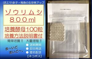 ●送料無料・匿名配送・即日発送● ゾウリムシ 800ml+ビール酵母 100粒　【めだか 針子・稚魚 金魚 シュリンプ 熱帯魚】活餌