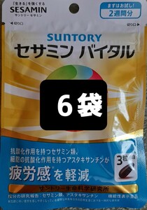 ６袋　約３ヶ月分　サントリー　セサミンバイタル