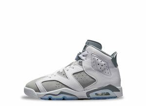 Nike GS Air Jordan 6 "Cool Grey" 23.5cm 384665-100