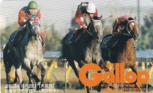 ●Gallop タマモクロス 南井騎手 天皇賞テレカ