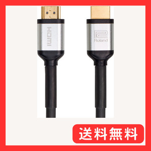 Roland RCC-10-HDMI 3m HDMI Cable HDMIケーブル