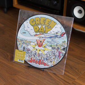 GREEN DAY dookie レコード LP ピクチャーディスク 限定盤 グリーンデイ
