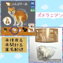 【未開封】ガチャ「ふんばり～ぬ」の「ポメラニアン」