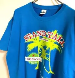 ギルダンGILDAN Tシャツ　stand tall ブルー　XL 古着