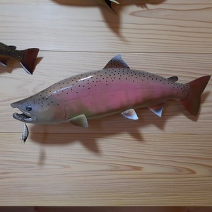 レプリカ　婚姻色　サツキマス　５１ｃｍ　/　アマゴ　渓流　本流　Trout　FlyFishing　サクラマス ミノー　シーマ