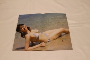 ポスター 脇田穂乃果