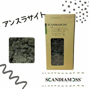 スカンディアモス SCANDIAMOSS アンスラサイト50ｇ ディスプレイ 苔 モス 天然素材 グレー メンテナンスフリー