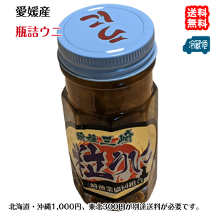 愛媛 天然 板ウニ 瓶詰ウニ 80g×1個 赤ウニ 素潜り海士 送料無料 浜から直送 宇和海の幸問屋