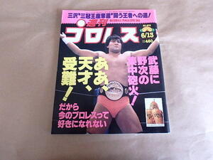 週刊プロレス673　平成7年6月号