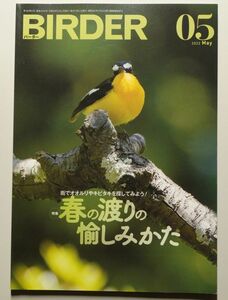 BIRDER 2022年5月号 バーダー　/　文一総合出版　/　野鳥撮影　探鳥　バードウォッチング　春の渡り鳥