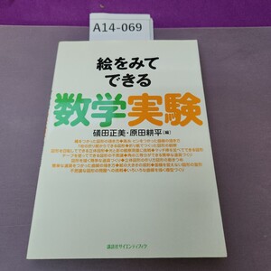 A14-069 絵をみてできる 数学実験