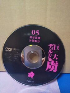 中古セル版DVD【ディスクのみ】巨大ディルドの虜　05 風谷音緖、片岡梨沙　必ず商品説明をお読み下さい。