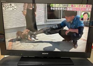 2011年製　SONY 液晶テレビ BRAVIA ソニー リモコン付