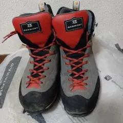 ガルモント　ASCENT GTX 25.0cm