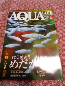 ★アクアライフ2015年5月号はじめようメダカ生活★熱帯魚やメダカ、アクアリウムに興味のある方いかがでしょうか。色々な魚の情報満載です~