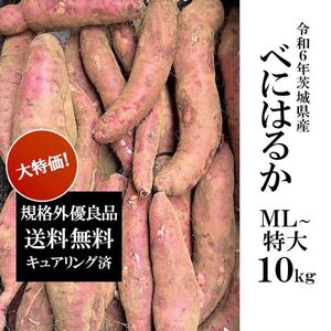 令和6年茨城県産　サツマイモ　さつまいも　紅はるか　10キロ　訳あり　10kg 家庭用　大特価品